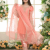 Stunning Embroidered Organza Suit