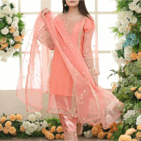 Stunning Embroidered Organza Suit