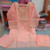 Stunning Embroidered Organza Suit