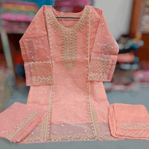Stunning Embroidered Organza Suit