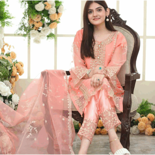Stunning Embroidered Organza Suit