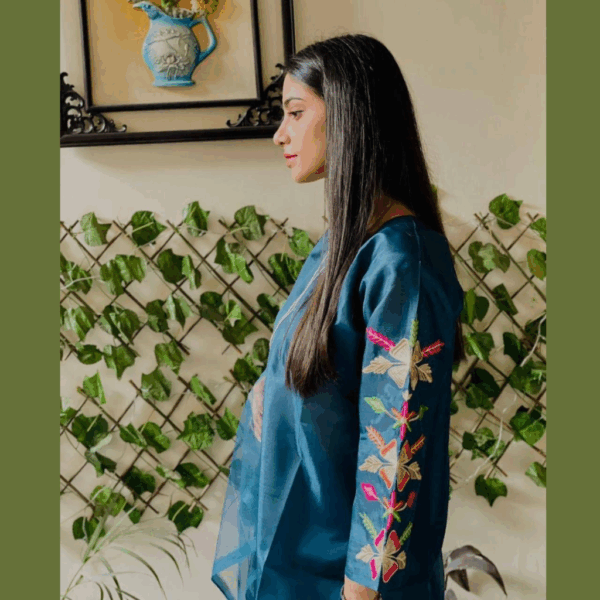 Ladies Stitched Embroidered Dress