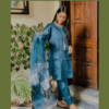 Ladies Stitched Embroidered Dress