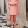 Ladies Unstitched Embroidered Dress